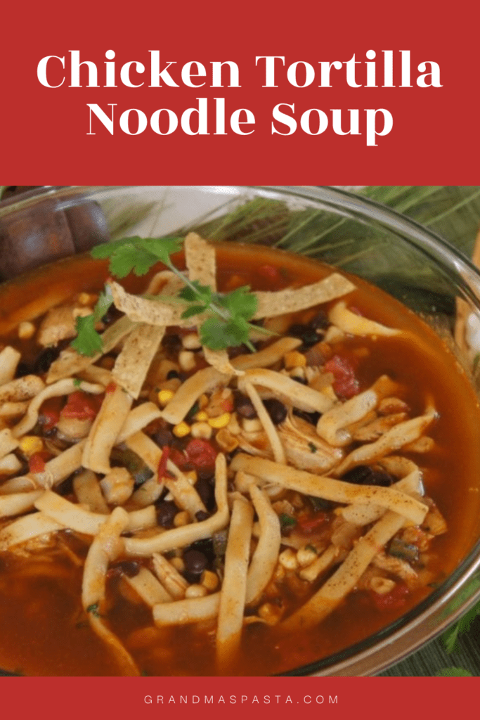 Chicken Tortilla Noodle Soup