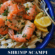 Shrimp Scampi & Egg Noodles
